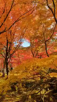 禅林寺(永観堂)(京都府)