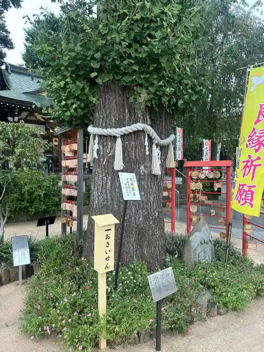 川越八幡宮(埼玉県)