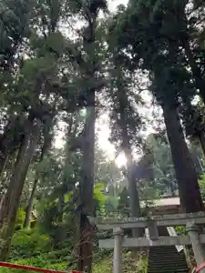 大宮温泉神社(栃木県)(2023年07月29日(土) 08時09分34秒投稿)