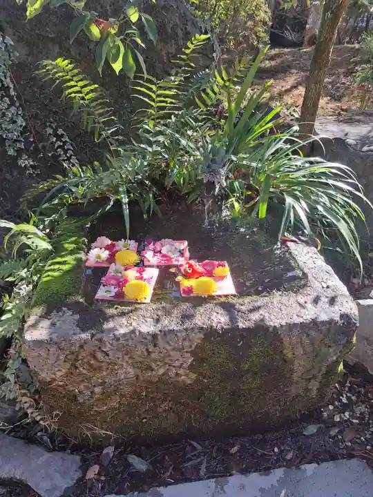 武田神社(山梨県)