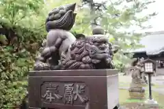 八坂神社の狛犬