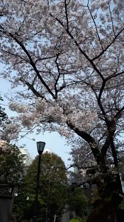 根津神社(東京都)