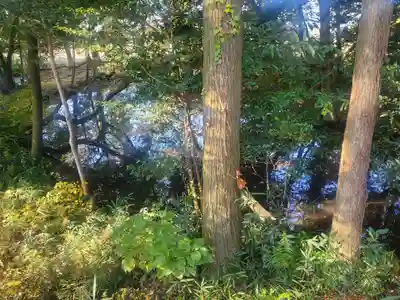 三蔵神社(茨城県)