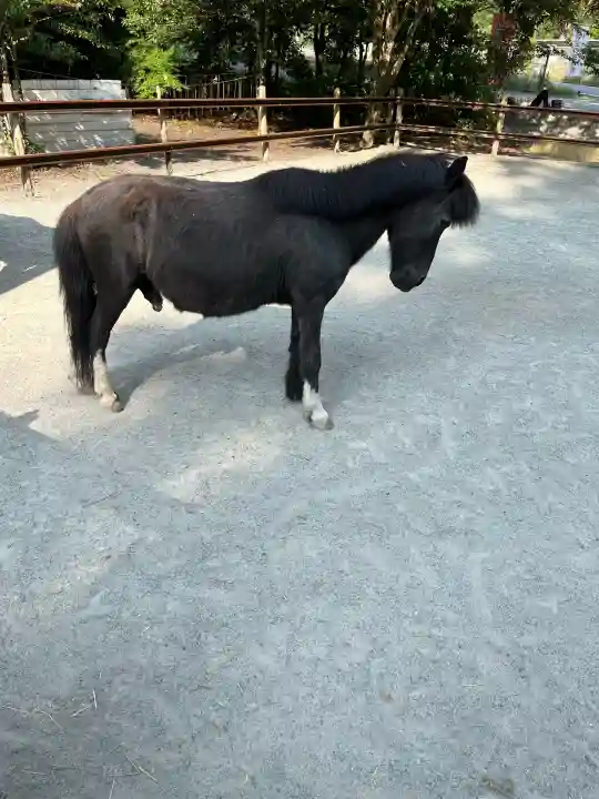 丹生川上神社(下社)(奈良県)