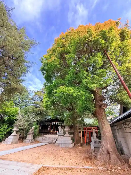 河内國魂神社の{uncategorized: "未分類", other: "その他", undefined: "問題あり", building: "その他建物", grave: "お墓", sacred_gate: "鳥居", guardian: "狛犬", statue: "像", buddha: "仏像", history: "歴史", nature: "自然", garden: "庭園", animal: "動物", pagoda: "塔", temizu: "手水舎", mountain_gate: "山門・神門", sanctuary: "本殿・本堂", subordinate: "末社・摂社", art: "芸術", scenery: "景色", jizo: "地蔵", ema: "絵馬", goshuin: "御朱印", omikuji: "おみくじ", items: "授与品その他", amulet: "お守り", goshuincho: "御朱印帳", eats: "食事", festival: "お祭り", votive_dance: "神楽", shichigosan: "七五三参", wedding: "結婚式", experience: "体験その他", initially: "初詣", around: "周辺", anti_infection: "感染症対策"}