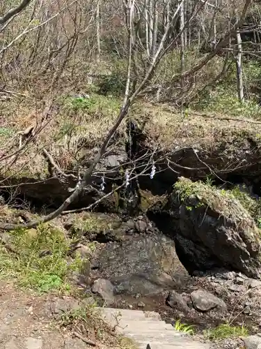 戸隠神社奥社の自然