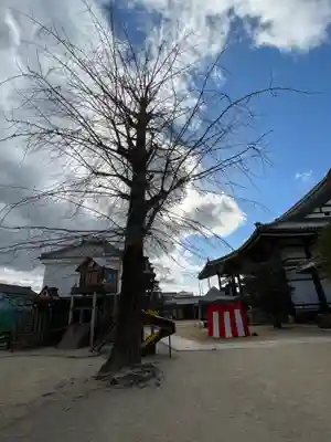 本福寺(滋賀県)