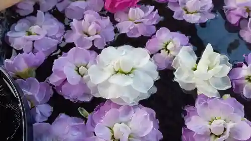 阿邪訶根神社(福島県)