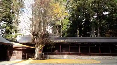 飛驒一宮水無神社のその他建物