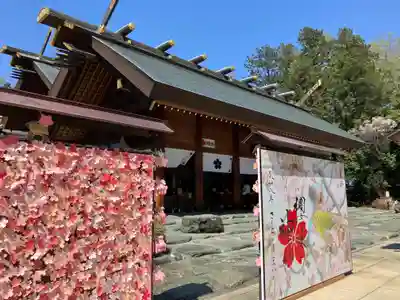 櫻木神社(千葉県)
