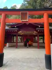 箱根神社の鳥居