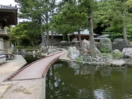 金剛福寺の庭園