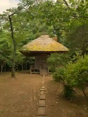 芝山仁王尊 観音教寺(千葉県)