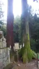 石楯尾神社の自然