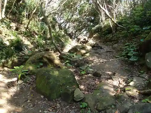 鵜戸神宮の自然