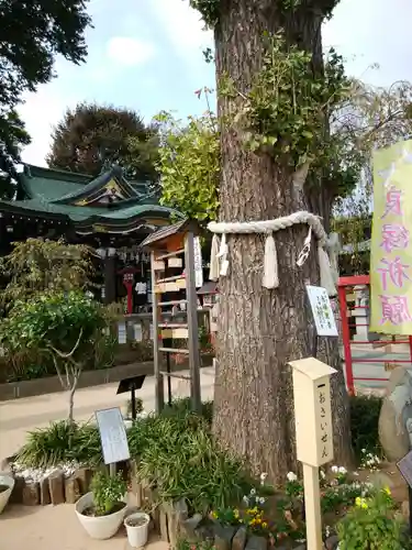 川越八幡宮(埼玉県)
