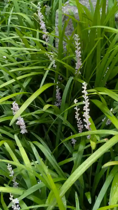 鎌達稲荷神社(京都府)