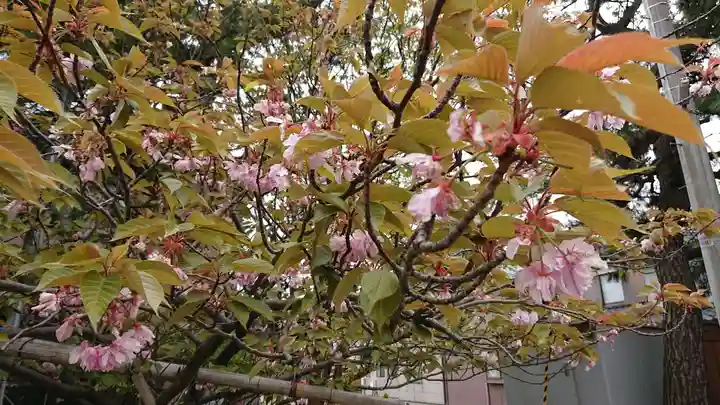 三社神社の自然