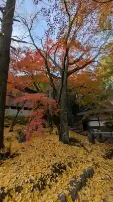 岩屋寺(京都府)