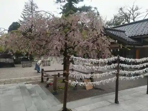 射水神社の庭園