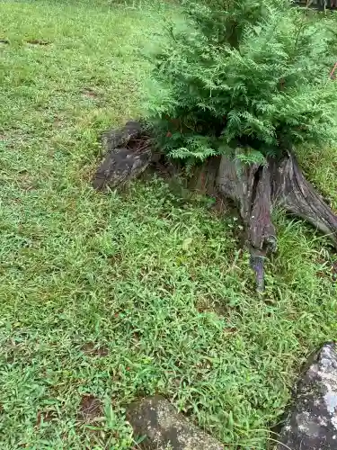 新海三社神社(長野県)