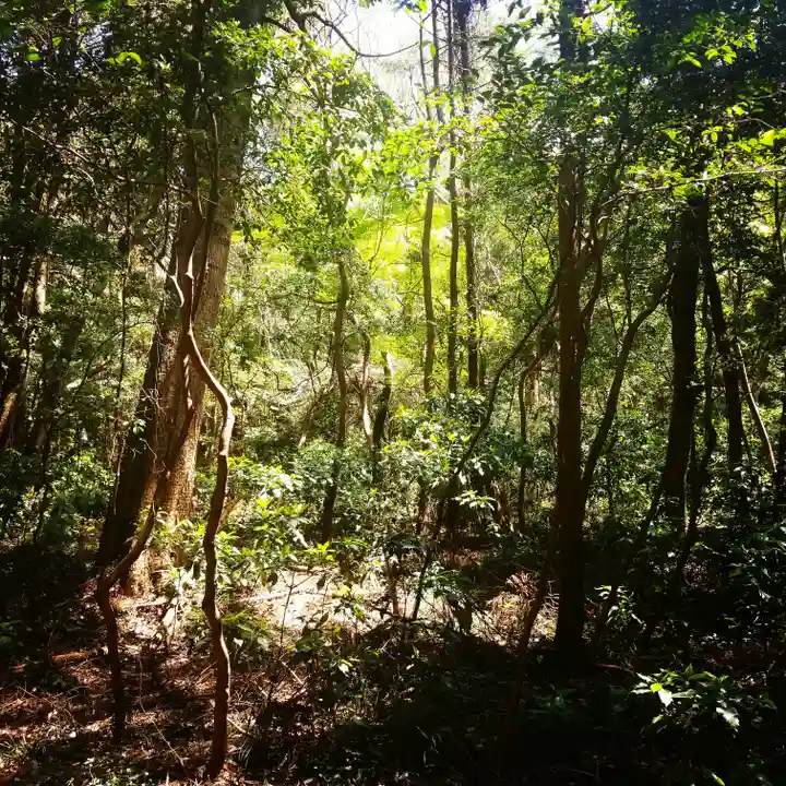 鹿島神宮の自然
