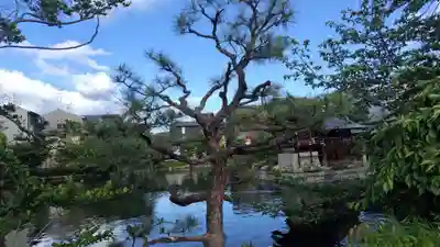 神泉苑(京都府)