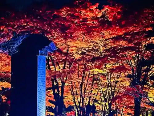 土津神社｜こどもと出世の神さまの景色