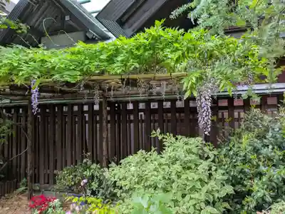 蔵前神社(東京都)