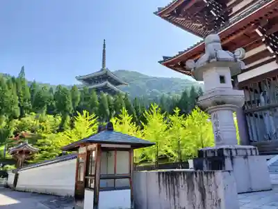清大寺(越前大仏)(福井県)