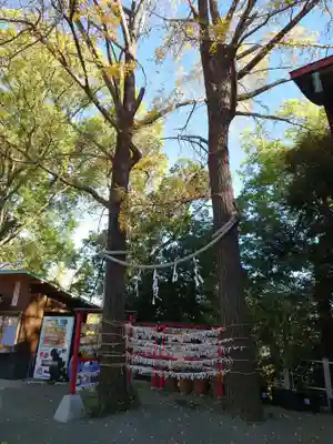 多摩川浅間神社(東京都)