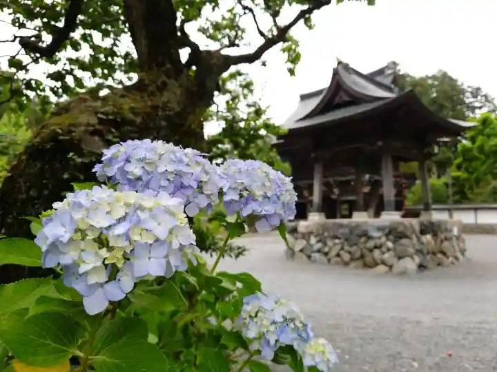 天寧寺(東京都)