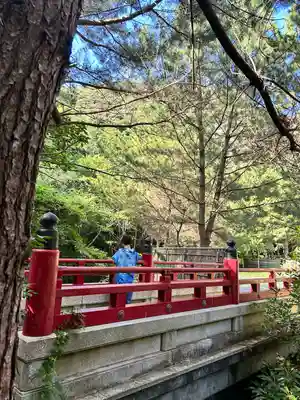 阿波命神社(東京都)