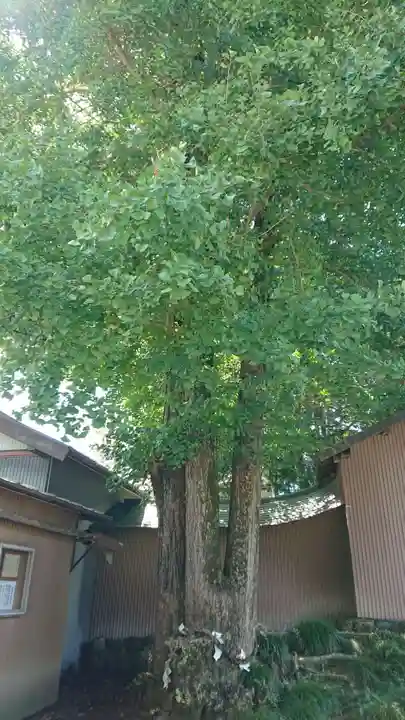 三嶋神社のその他建物