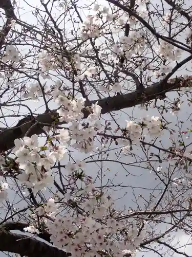 孝道山の御朱印