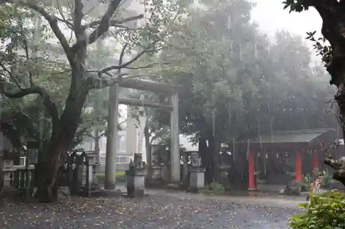 くまくま神社(導きの社 熊野町熊野神社)の鳥居