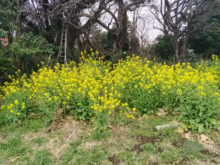 寶珠院(神奈川県)
