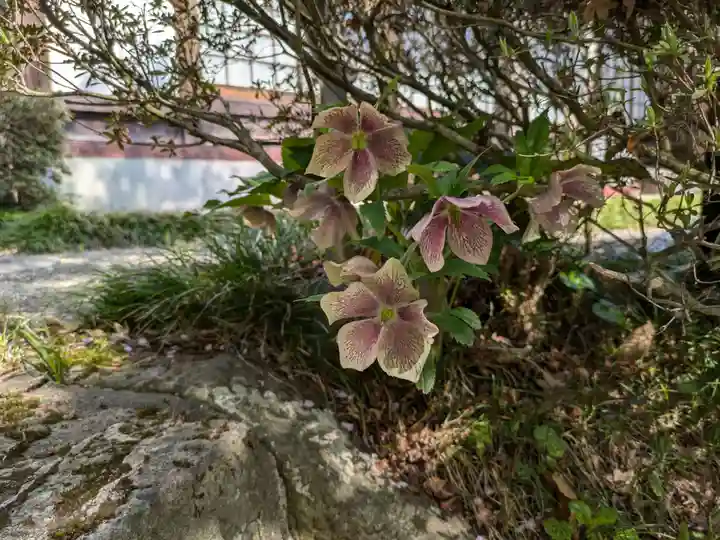 恩林寺(岐阜県)