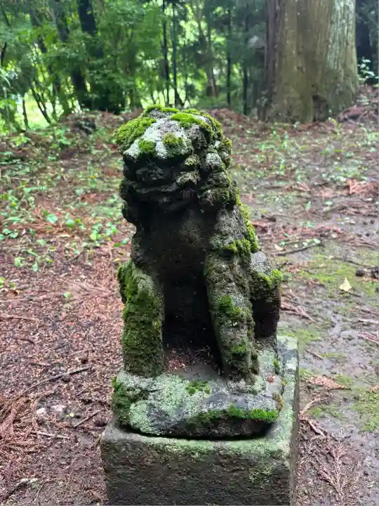 熊ノ木箒根神社の狛犬