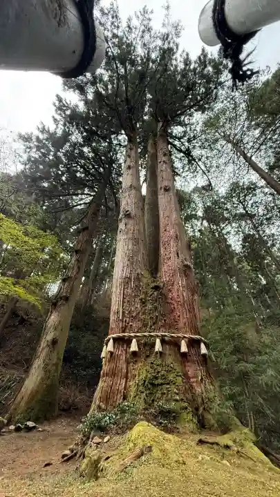 御岩神社(茨城県)