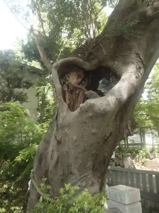 青渭神社(東京都)