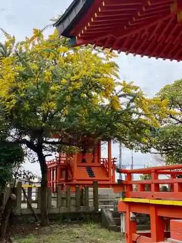 京都乃木神社の本殿・本堂