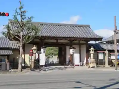 東寺(教王護国寺)の山門・神門
