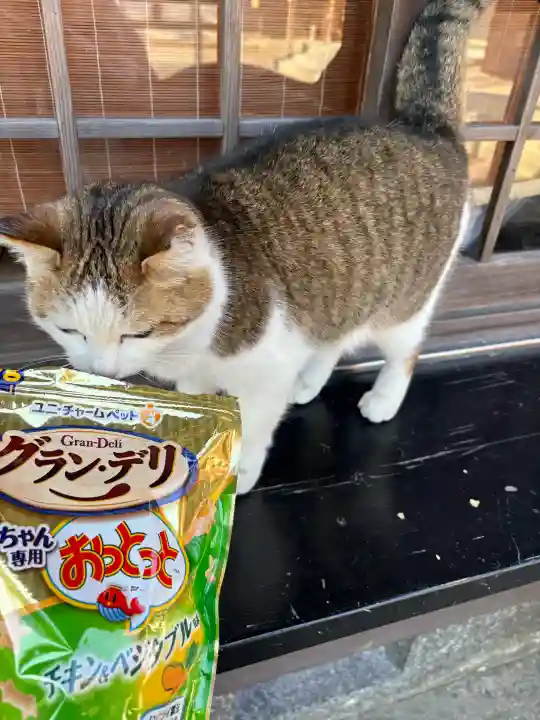 忌部神社の{uncategorized: "未分類", other: "その他", undefined: "問題あり", building: "その他建物", grave: "お墓", sacred_gate: "鳥居", guardian: "狛犬", statue: "像", buddha: "仏像", history: "歴史", nature: "自然", garden: "庭園", animal: "動物", pagoda: "塔", temizu: "手水舎", mountain_gate: "山門・神門", sanctuary: "本殿・本堂", subordinate: "末社・摂社", art: "芸術", scenery: "景色", jizo: "地蔵", ema: "絵馬", goshuin: "御朱印", omikuji: "おみくじ", items: "授与品その他", amulet: "お守り", goshuincho: "御朱印帳", eats: "食事", festival: "お祭り", votive_dance: "神楽", shichigosan: "七五三参", wedding: "結婚式", experience: "体験その他", initially: "初詣", around: "周辺", anti_infection: "感染症対策"}