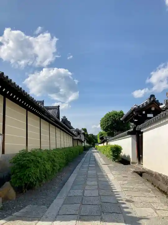 妙心寺(妙心禅寺)(京都府)