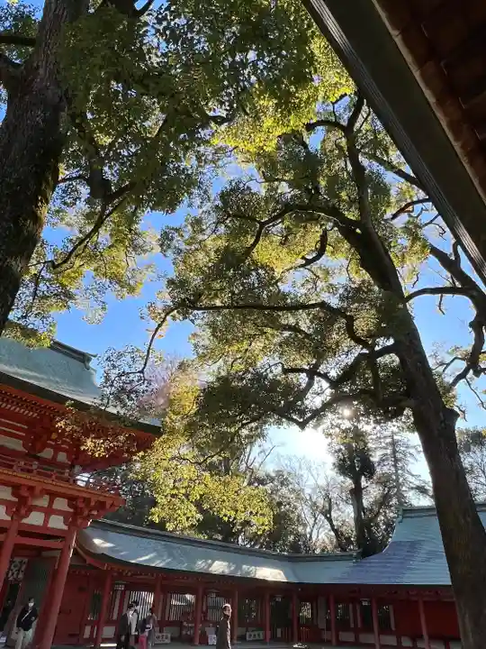 武蔵一宮氷川神社(埼玉県)