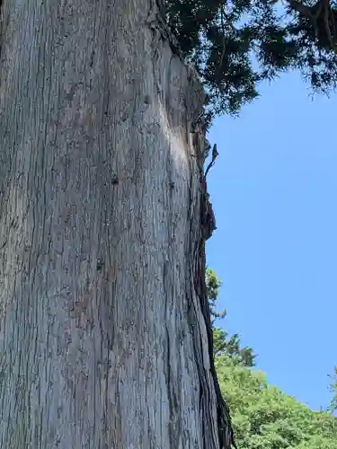 伊王野温泉神社(栃木県)