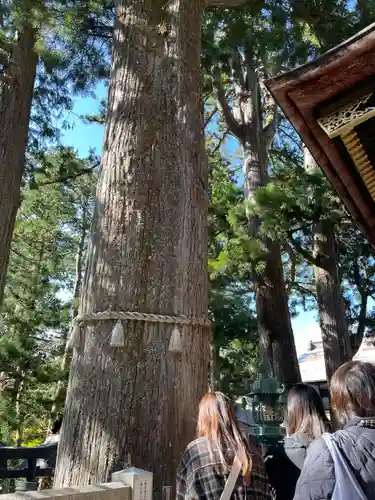 三峯神社(埼玉県)