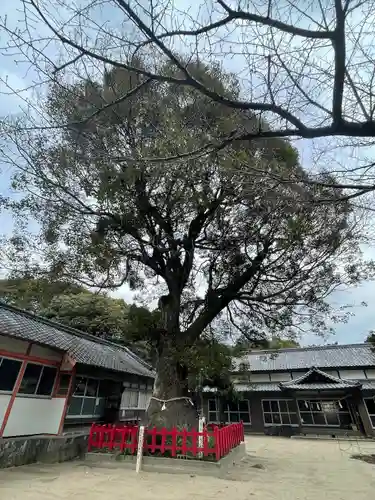 八幡奈多宮の自然