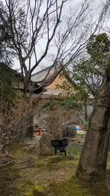 高台寺（高台寿聖禅寺・高臺寺）(京都府)